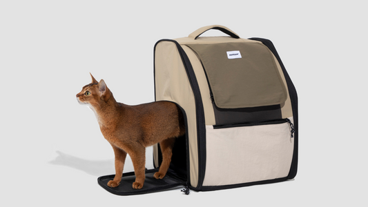 First Class Pet Backpack - Delta Pet Joyrides