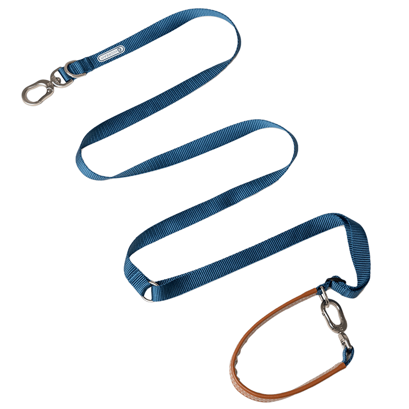 Broken Dog Type Leather Traction Accompanying Set - Delta Pet Joyrides