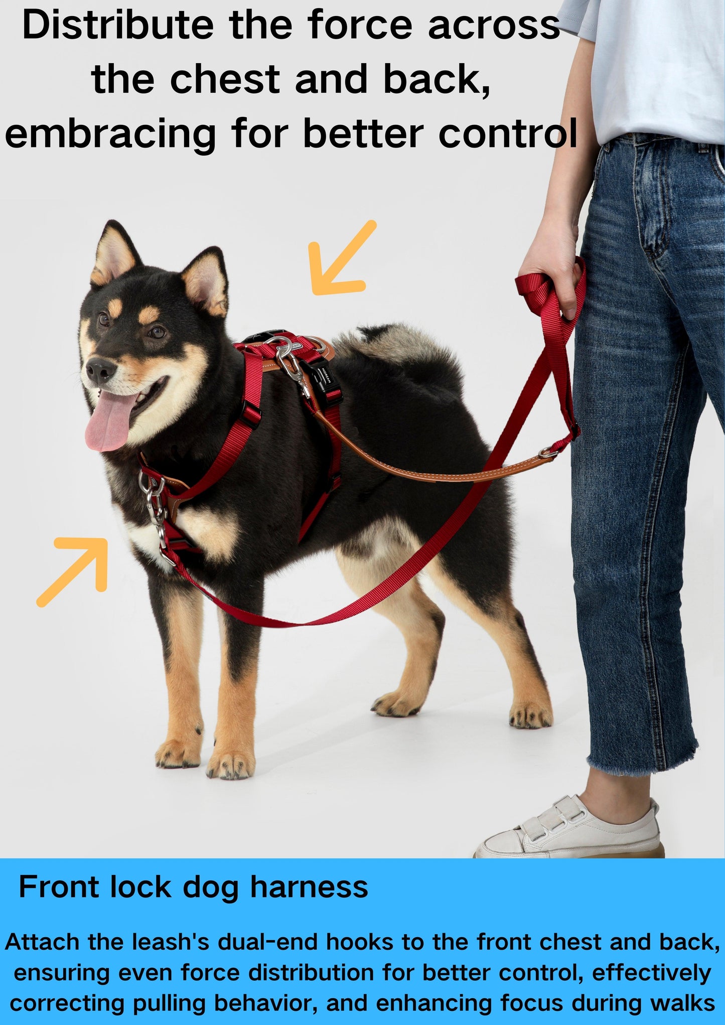 Broken Dog Type Leather Traction Accompanying Set - Delta Pet Joyrides