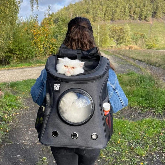 "The Fat Cat" Cat Backpack - For Larger Cats  Pet Backpack - Delta Pet Joyrides